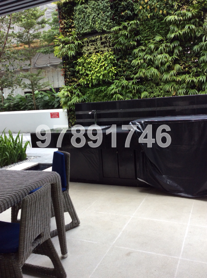 The Boutiq (D9), Apartment #38591312